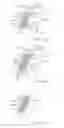 Fig. 07 - Refastenable absorbent article and a method of applying thereof