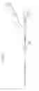 Fig. 06 - Intravascular foreign matter suction assembly