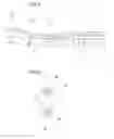Fig. 07 - Intraocular lens insertion device