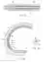 Fig. 59 - Living tissue ligation device