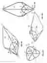 Fig. 07 - Multi-lumen central access vena cava filter apparatus and method of using same