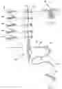 Fig. 01 - Suture treatment method and kit therefor