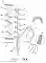 Fig. 08 - Suture treatment method and kit therefor