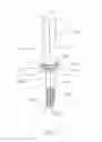 Fig. 09 - BONE FIXATION DEVICES AND METHODS