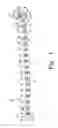 Fig. 02 - Pediatric long bone support or fixation plate