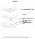 Fig. 07 - DEVICE AND METHOD FOR TREATMENT OF TINNITUS