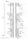 Fig. 01 - Devices and methods for controlling patient temperature