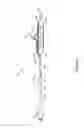 Fig. 02 - Torqueable Balloon Catheter