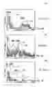 Fig. 07 - VOWEL RECOGNITION SYSTEM AND METHOD IN SPEECH TO TEXT APPLICTIONS