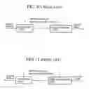 Fig. 09 - SOUND DECODER AND SOUND DECODING METHOD WITH DEMULTIPLEXING ORDER DETERMINATION