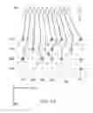 Fig. 11 - Wiring design method for wiring board