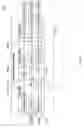 Fig. 07 - Deterministically skewing transmission of content streams