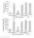 Fig. 01 - IMMUNE SYSTEM MEDIATOR