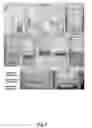 Fig. 02 - METHODS OF IDENTIFYING AND USING SNAIL1 INHIBITORY COMPOUNDS IN CHONDRODYSPLASIA TREATMENT AND PREPARATION OF PHARMACEUTICAL COMPOSITIONS
