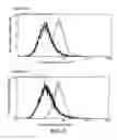 Fig. 09 - Methods for producing antibodies