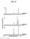 Fig. 09 - Polynucleotides encoding isoprenoid modifying enzymes and methods of use thereof