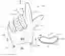 Fig. 01 - MULTI-USE CLEANING GLOVE
