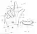 Fig. 02 - MULTI-USE CLEANING GLOVE