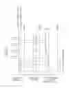 Fig. 04 - EXHAUST GAS PURIFICATION DEVICE
