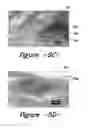 Fig. 06 - Treated textile substrate and method for making a textile substrate