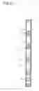 Fig. 25 - COOLING / HEATING PANEL