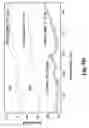 Fig. 08 - Method and apparatus for rapidly cooling a gem