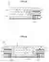 Fig. 30 - Packaged device and producing method thereof