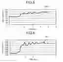 Fig. 06 - ANALYZER
