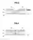Fig. 03 - Copper electroplating bath