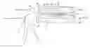 Fig. 01 - Quick load cartridge holder for a caulking gun