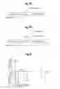 Fig. 09 - APPARATUS AND METHOD OF ACQUIRING IMAGES OF A SAMPLE OF BIOLOGICAL ORIGIN