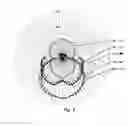 Fig. 03 - Apparatus for an Irradiation Unit