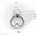 Fig. 04 - Apparatus for an Irradiation Unit
