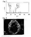 Fig. 02 - POSITIVE ELECTRODE ACTIVE MATERIAL, POSITIVE ELECTRODE FOR NONAQUEOUS ELECTROLYTE BATTERY, AND NONAQUEOUS ELECTROLYTE BATTERY
