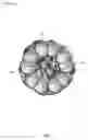 Fig. 02 - FUSION FUEL CONTAINER AND REACTANT SPIN-ENHANCEMENT
