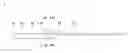 Fig. 01 - LIGHT EMITTING DIODE PACKAGE STRUCTURE