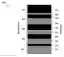 Fig. 01 - Method and apparatus for heterojunction barrier diode detector for ultrahigh sensitivity