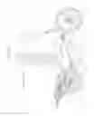 Fig. 04 - Self-propelled vehicle propelled by an elliptical drive train including foot link guide track