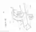 Fig. 13 - Self-propelled vehicle propelled by an elliptical drive train including foot link guide track