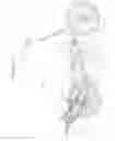 Fig. 03 - Self-Propelled Vehicle Propelled by an Elliptical Drive Train With Adjustable Foot Locations