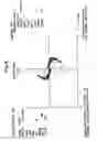Fig. 09 - Apparatus
