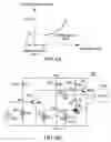 Fig. 09 - Method and circuit for controlling motor speed