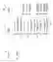 Fig. 03 - Concatenated audio messages