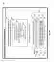 Fig. 05 - Concatenated audio messages