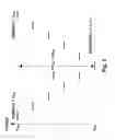 Fig. 06 - Methods for driving bistable electro-optic displays, and apparatus for use therein