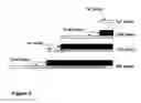 Fig. 04 - Multi level printing device and method