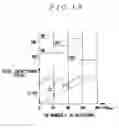 Fig. 13 - Head drive apparatus of inkjet printer and inkjet printer