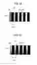 Fig. 34 - Position detecting device, liquid ejecting apparatus and method of detecting smear of scale