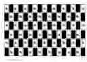 Fig. 01 - Stereoscopic image display apparatus of net pattern