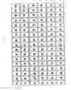 Fig. 02 - Stereoscopic image display apparatus of net pattern